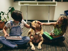 A new study from UBC Okanagan found that children who read with a dog appear more motivated and engaged with reading.