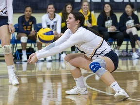 Gabriel Attieh of the UBC Thunderbirds digs the ball against the University of Calgary Dinos during U Sports Canada West volleyball action earlier this month.