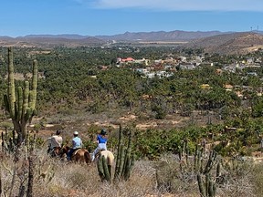 Horseback riding above the oasis town of Todos Sandos.