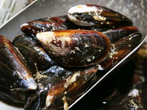 The B.C. Centre for Disease Control has reiterated its warning about eating contaminated seafood particularly from closed beaches, but there are still good, non-toxic shellfish such as these West Coast mussels.