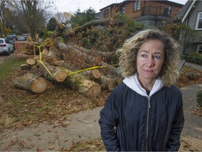 Jacqueline Fefer stands in front of the elm tree that fell on her on Oct. 25 during a windstorm.