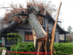 A broken tree rests on a house following a wind storm, on W 15th Avenue and Yukon Street in Vancouver, B.C.., December 23, 2018.