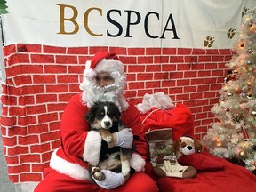 Santa poses with a young pooch at the B.C. SPCA and Charlie's food bank's annual Christmas event in the Downtown Eastside. [PNG Merlin Archive]