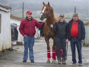 Troy Taylor, left, in a 2014 photo at the backside of Hastings Racecourse, with horse owner Glen Todd, groom Stephanie Golz and four-year-old Success Rate.