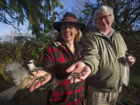 Former Vancouver Sun columnist Jamie Lamb and daughter Theo Lamb feed chickadees at the Reifel Migratory Bird Sanctuary in Delta. Photo: Jason Payne