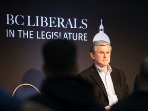 B.C. Liberal leader Andrew Wilkinson speaks in Surrey last year.