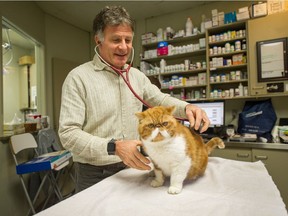 Dr. Rob Ashburner with Hugo the cat inside West King Edward Animal Clinic in Vancouver.