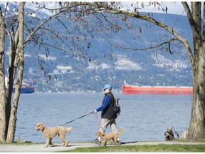 A dog walker and dogs walk along the pathway of Spanish Banks.
