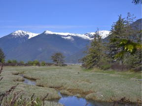 Tidal Flats in Bella Coola. The Nature Conservancy of Canada (NCC) has acquired a 70-hectare (174-acre) property on the Bella Coola estuary. The new Tidal Flats Conservation Area protects inter-tidal marshes, mudflats and tidal channels that provide valuable habitat for waterfowl, shorebirds and juvenile salmon. Upland areas of the property are forested with western red cedar and Sitka spruce.