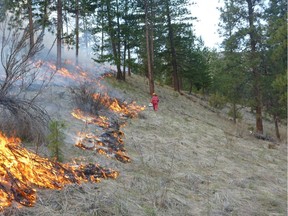 Undated photo of a prescribed fire burns at West Vaseux Lake in the Okanagan.