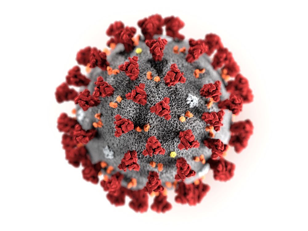 COVID-19 update for Sept. 14: Here's the latest on coronavirus in B.C.