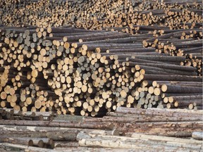 It seems barely a day goes by without an announcement about layoffs, temporary closures or permanent mill shutdowns in B.C.'s struggling forestry industry. Softwood lumber is pictured at Tolko Industries in Heffley Creek on April, 1, 2018.