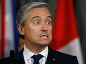 Canada's Minister of Foreign Affairs, Francois-Philippe Champagne, speaks during a news conference at the High Commission of Canada in London, Britain on January 16, 2020, after a meeting of the International Coordination and Response Group.