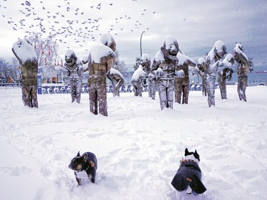 Dogs play in the snow near the Laughing Men sculptures in English Bay on Wednesday.