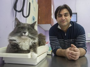 Ravdeep Singh is an Indian-trained veterinarian who is going through the process of being certified in B.C.