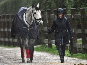 A woman walks a horse through heavy rain in Southlands in Vancouver on Tuesday.