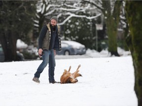 A dog frolics in the snow during a weather advisory in Vancouver on Jan. 12.