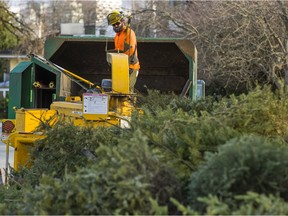 Vancouver is holding a charity Christmas tree chipping event this weekend in four locations around the city.