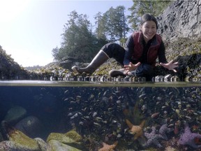 Sarika Cullis-Suzuki goes on a trip from coast-to-coast as she looks at what keeps the inhabitants of of Canada's intertidal zones alive in the CBC Nature  of Things episode Kingdom of the Tide on Feb. 7.