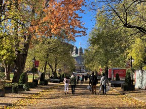 The main campus of McGill University is seen on November 4, 2018.