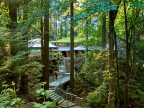 A stairway climbs through the trees at entry to Portland’s Japanese Gardens cultural village.