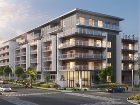 Aristotle is a new development by Emporio Properties in Langley.