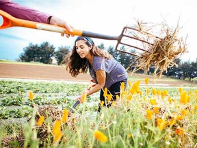 University of California's first institute for organic research and education will be established in the UC's Agriculture and Natural Resources Division.