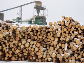 The log yard at C&C Wood Products in Quesnel. C&C is an example of a nimble, innovative company able to create value-added forest products from a diminished interior timber supply.