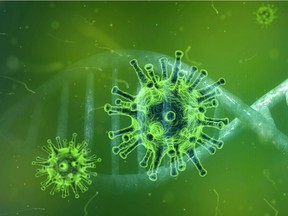 The coronavirus family includes COVID-19 and SARS-CoV, both of which can infect humans.