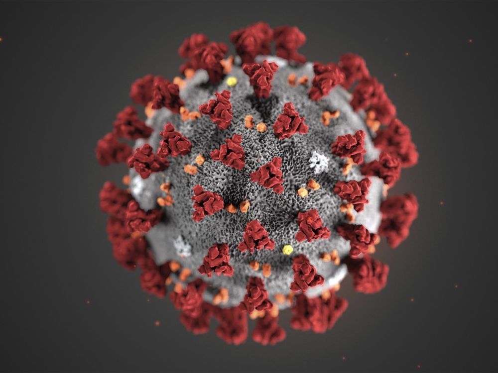 COVID-19 update for Sept. 7: Here's the latest on coronavirus in B.C.