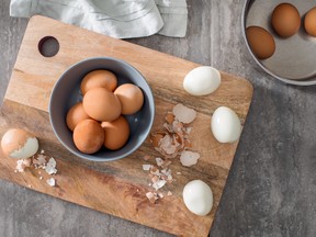 How much do you really know about how eggs are produced in your own backyard?