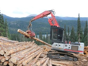 A Wet'suwet'en member operates machinery loading logs from a right-of-way clearing on behalf of Coastal GasLink in the fall of 2019. The machine is being operated 15kms west of work camp 9A on the Shea Creek Forest Service Road, that is at the centre of the pipeline controversy. Troy Young photo [PNG Merlin Archive]