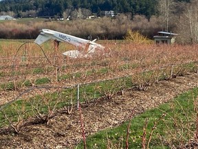 A small plane crashed in a farmer’s field in the Blenkinsop Valley Tuesday morning.