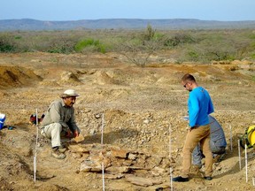 Colombian and Venezuelan paleontologists work together during the excavation of the giant turtle Stupendemys geographicus in northern Venezuela, in an undated picture released February 12, 2020.