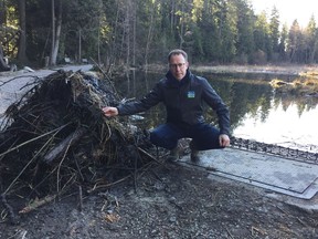 Chad Townsend, senior planner, environment and sustainability, Vancouver Park Board gestures to his right to the pile of logs and vegetation beavers pile up against the outlet culvert on Beaver Lake every few days. If the debris isn't removed, it can lead to flooding and damage to trails. Park planners hope to address the problem with a fish ladder and improved culvert. Photo: Kevin Griffin