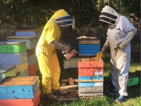 Commercial beekeepers in Creston examining hives used for pollination in cherry orchards. Jeff Lee, owner of Honey Bee Zen Apiaries Ltd., is worried about the impact the COVID-19 outbreak will have on the availability of temporary foreign workers for B.C.'s vibrant agriculture sector.