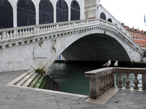 A pair of seagulls apparently can't be bothered to check out the completely empty Rialto Bridge in Venice, Italy, on March 9, 2020.