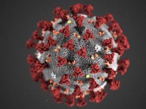 This illustration image -- obtained Feb. 3, 2020 from the Centers for Disease Control and Prevention -- shows the COVID-19 virus. (AFP via Getty Images)