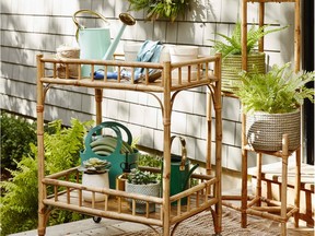 Bar cart from HomeSense used to arrange plants at different height levels, which creates dimension and scale.