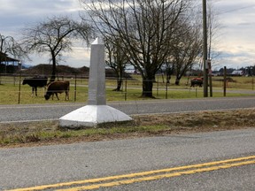 FILE PHOTO: Cattle graze on the United States side of a Canada-U.S. border marker, separating two parallel roads, in Langley, British Columbia, Canada February 16, 2017.  REUTERS/Chris Helgren/File Photo
