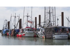 Fishing boats tied up at the Steveston's Government Wharf.