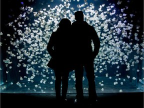 A couple admiring one of the jellyfish tanks at the Vancouver aquarium prior to its temporary closure due to COVID-19.