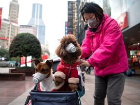 A woman pushes a stroller with two dogs wearing masks along a street in Shanghai on February 19, 2020. - The death toll from China's new coronavirus epidemic jumped past 2,000 on February 19 after 136 more people died, with the number of new cases falling for a second straight day, according to the National Health Commission.