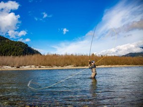 Matt Sharp of Pacific Angler fishing in the Squamish Valley.