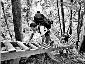 The West Coast Trail near Bamfield.