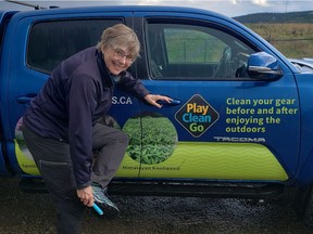 Gail Wallin, executive director of the Invasive Species Council of B.C., checks for any invasive plants that people can inadvertently spread after travelling in the province or elsewhere. In May, invasive species action month, British Columbians are reminded to clean off boots, vehicles, boats, camping gear, work gear, clothing and pets after returning from a hike or other activity in the wild to prevent the spread of noxious plants or creatures.