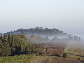 The thousand-hectare estate; Bichi Borghesi, family-owned since the 17th century.