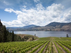 Okanagan Valley wine growing region.