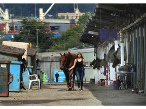 Glen Todd, owner-trainer of North American Thoroughbred Horse Co., has quietly extended an interest-free million dollar loan to fund purse money and keep the races going at Vancouver's Hastings Racecourse through the end of August as the industry struggles to recover from the COVID-19 pandemic.