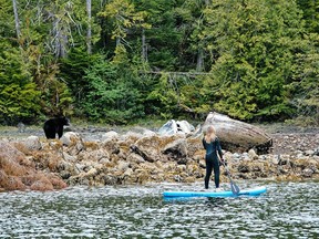 Nature is all around you when paddle boarding in Clayoquot Sound near Tofino.